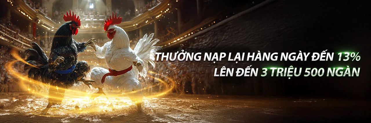 Đá Gà Trực Tuyến Sôi Động tại 888k code